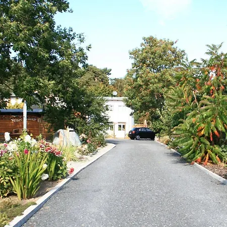 Waldblick Apartment